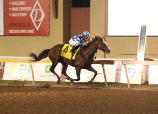 Bracket Buster, horse, Vekoma, Oklahoma Derby, domingo, 28 de septiembre de 2025, Remington Park. Foto: Dustin Orona