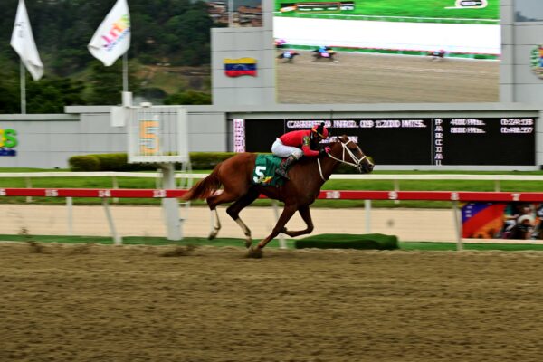 Búnker, horse, Constructor White, Clásico Victoreado, domingo, 21 de septiembre de 2025, La Rinconada. Foto: José Antonio Aray
