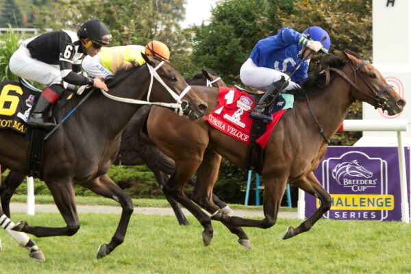 https://hipicaglobal.com/canada/and-one-more-time-domino-al-final-en-el-natalma-stakes/