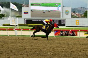 Fast Sensations, horse, Haras Los Caracaros, Clásico Hípica Nacional, domingo, 21 de septiembre de 2025, La Rinconada. Foto: José Antonio Aray