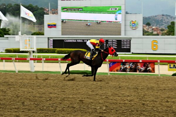 Fast Sensations, horse, Haras Los Caracaros, Clásico Hípica Nacional, domingo, 21 de septiembre de 2025, La Rinconada. Foto: José Antonio Aray