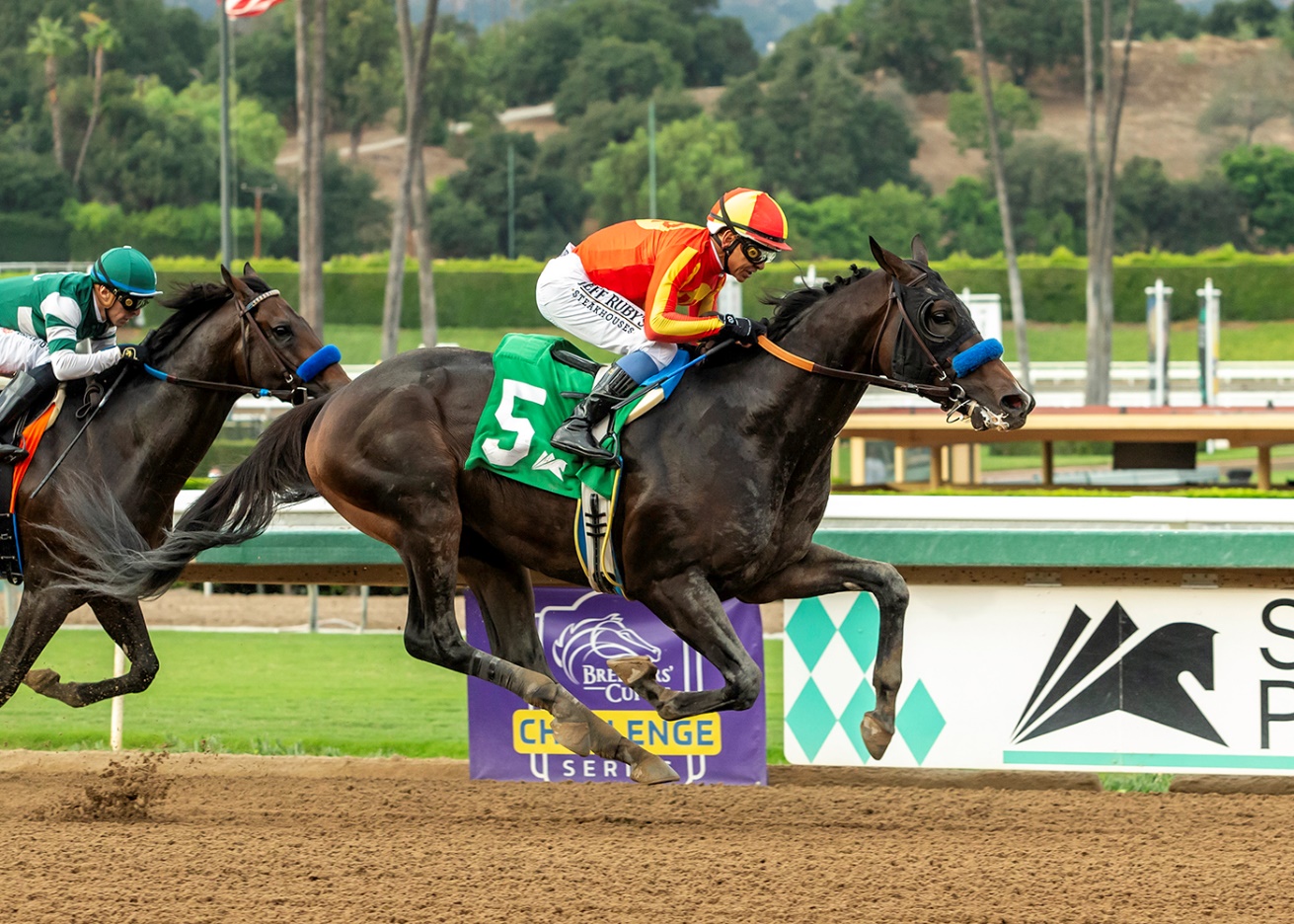 Nevada Beach, Horses, Omaha Beach, Goodwood Stakes, sábado, 27 de septiembre de 2025, Santa Anita Park. Foto: Benoit Photo