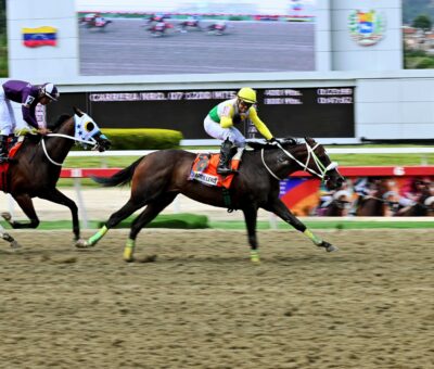 Parrillero, horse, Haras El Centauro, Clásico Sprinters, domingo, 24 de agosto de 2025, La Rinconada. Foto: José Antonio Aray