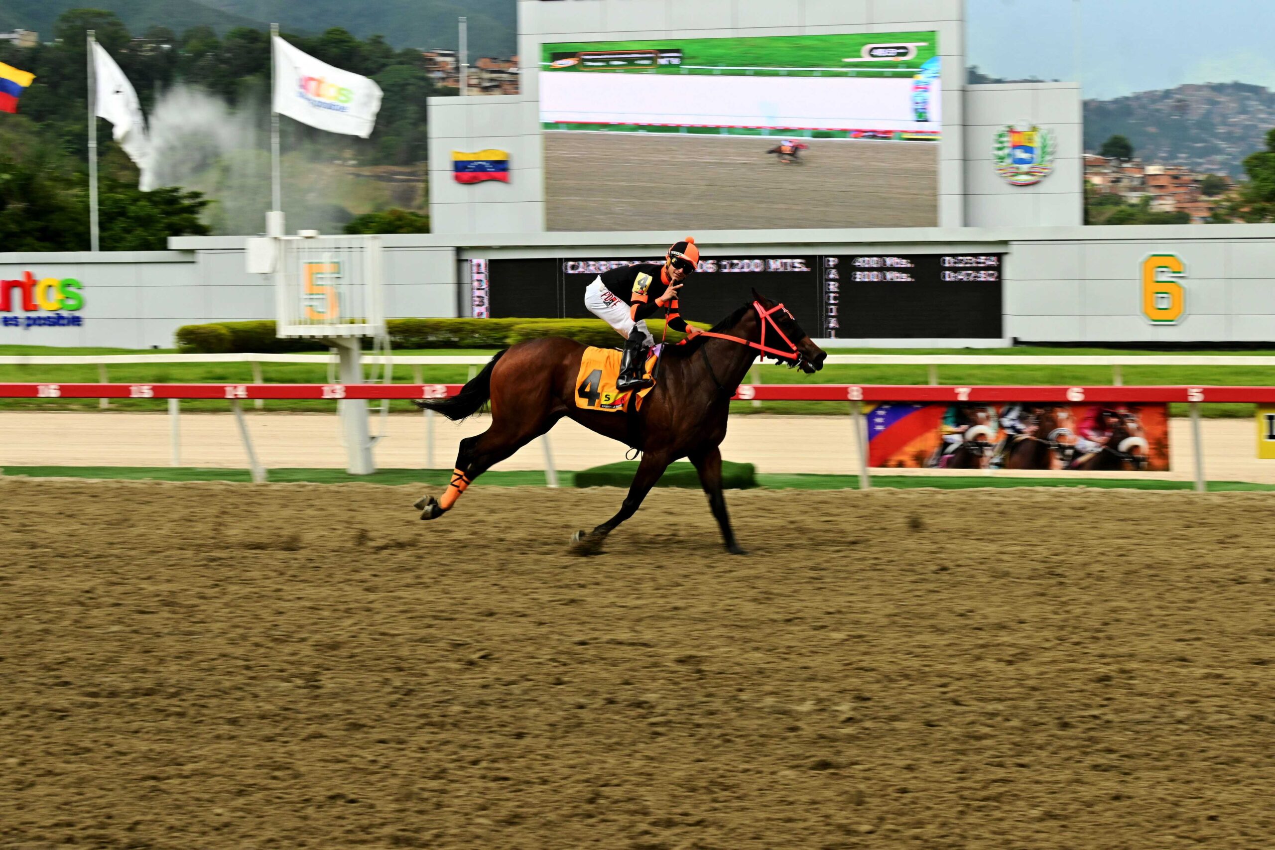 Princess Warrior, horse, The Great Warrior, Clásico Lanzarina, domingo, 21 de septiembre de 2025, La Rinconada. Foto: José Antonio Aray