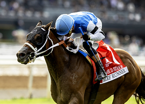Reef Runner, Horses, The Big Beast, Eddie D Stakes, sábado, 27 de septiembre de 2025, Santa Anita Park. Foto: Benoit Photo