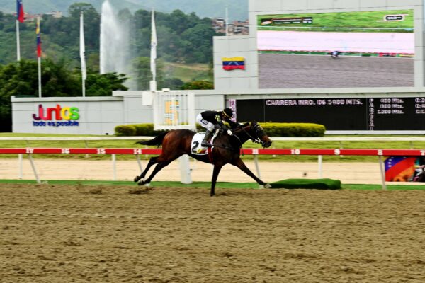 Rockville, horse, Bernardini, Clásico Millard Ziadie, domingo, 14 de septiembre de 2025, La Rinconada. Foto: José Antonio Aray