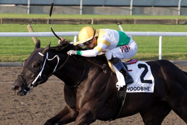 Simcoe, horse, Uncle Mo, Branded Cities Vigil Stakes, sábado, 13 de septiembre de 2025, Woodbine. Michael Burns Photography & Woodbine