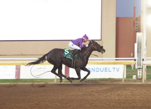 So There She Was, horse, Munnings, Remington Park Oaks, domingo, 28 de septiembre de 2025, Remington Park. Foto: Dustin Orona