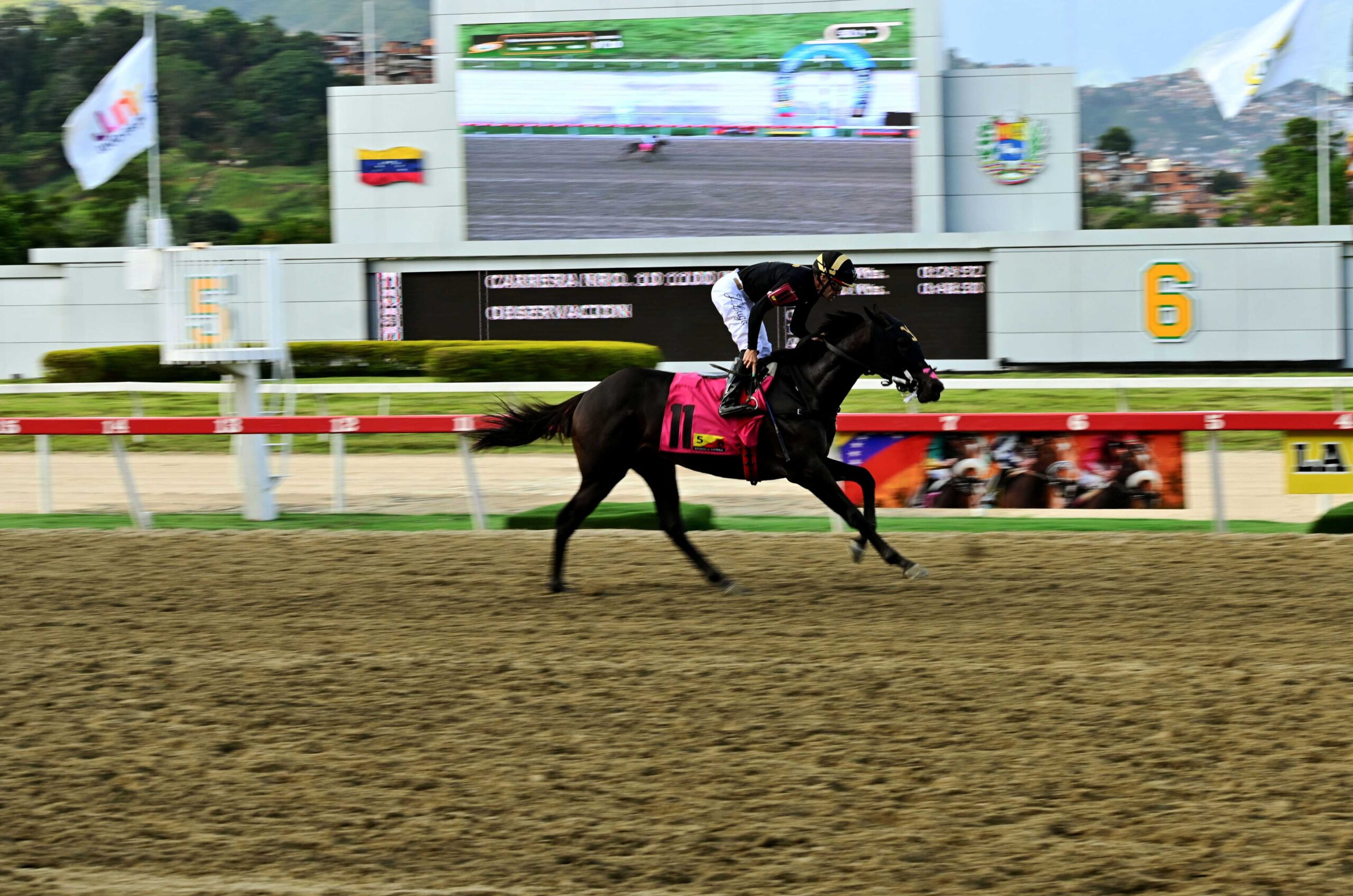 Star White, horse, Imaginay Sailor, Clásico Gradisco, domingo, 24 de agosto de 2025, La Rinconada. Foto: José Antonio Aray