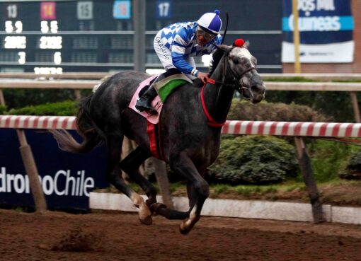 Teao, horses, Ya Primo, Clásico Dos Mil Guineas, sábado, 6 de septiembre de 2025, Hipódromo Chile. Foto: Jaime Cortés