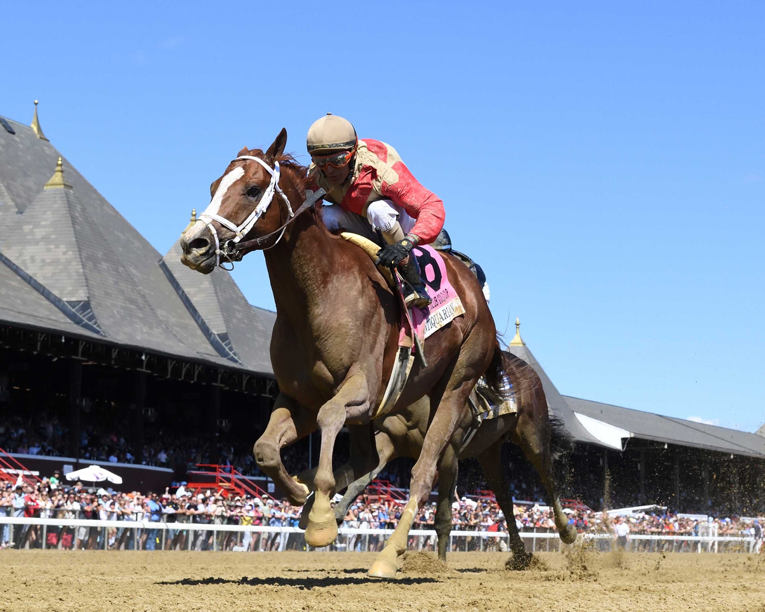 Antiquarian, horse, Preservationist, Jockey Club Gold Cup Stakes, domingo, 31 de Agosto de 2025, Saratoga. Foto: Coglaniese Photo & Chelsea Durand
