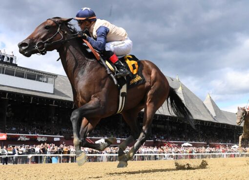 Praying, horse, Vekoma, Prioress Stakes, sábado, 31 de agosto de 2024, Saratoga. Foto: Coglaniese Photo