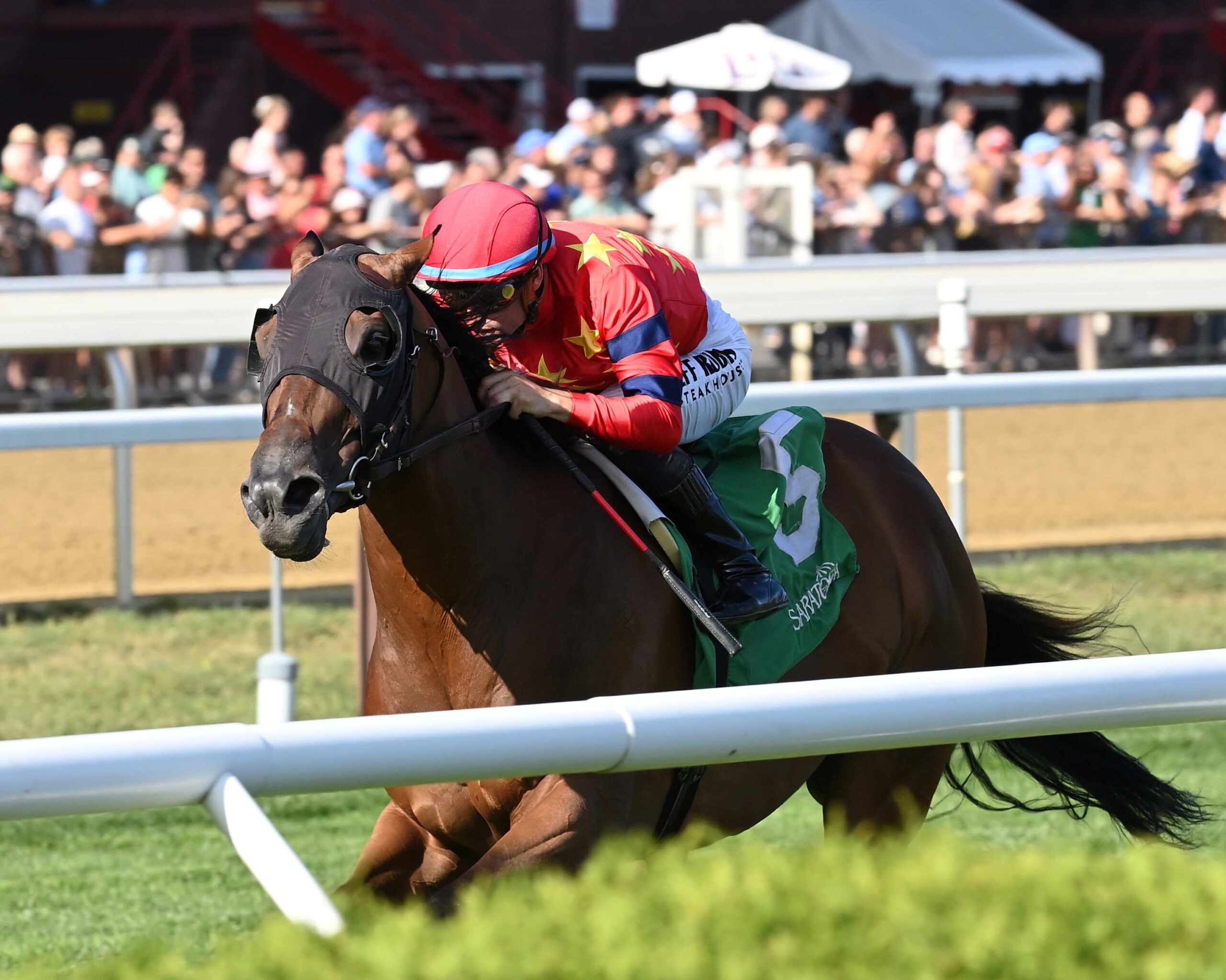 Twenty Six Black, horse, War Dancer, Prioress Stakes, domingo, 31 de agosto de 2025, Saratoga. Foto: Coglaniese Photo & Chelsea Durand