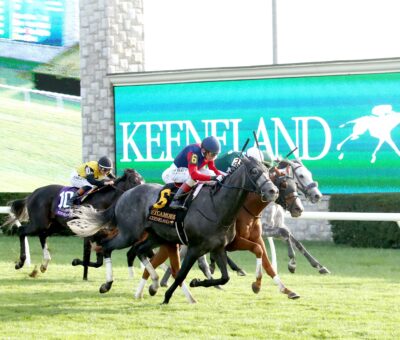 Desvio, horse, Yoshida (JPN), Sycamore Stakes, viernes, 10 de octubre de 2025, Keeneland. Foto: @coadymediaUSA