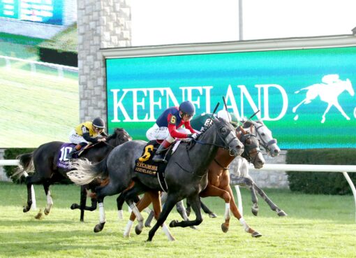 Desvio, horse, Yoshida (JPN), Sycamore Stakes, viernes, 10 de octubre de 2025, Keeneland. Foto: @coadymediaUSA