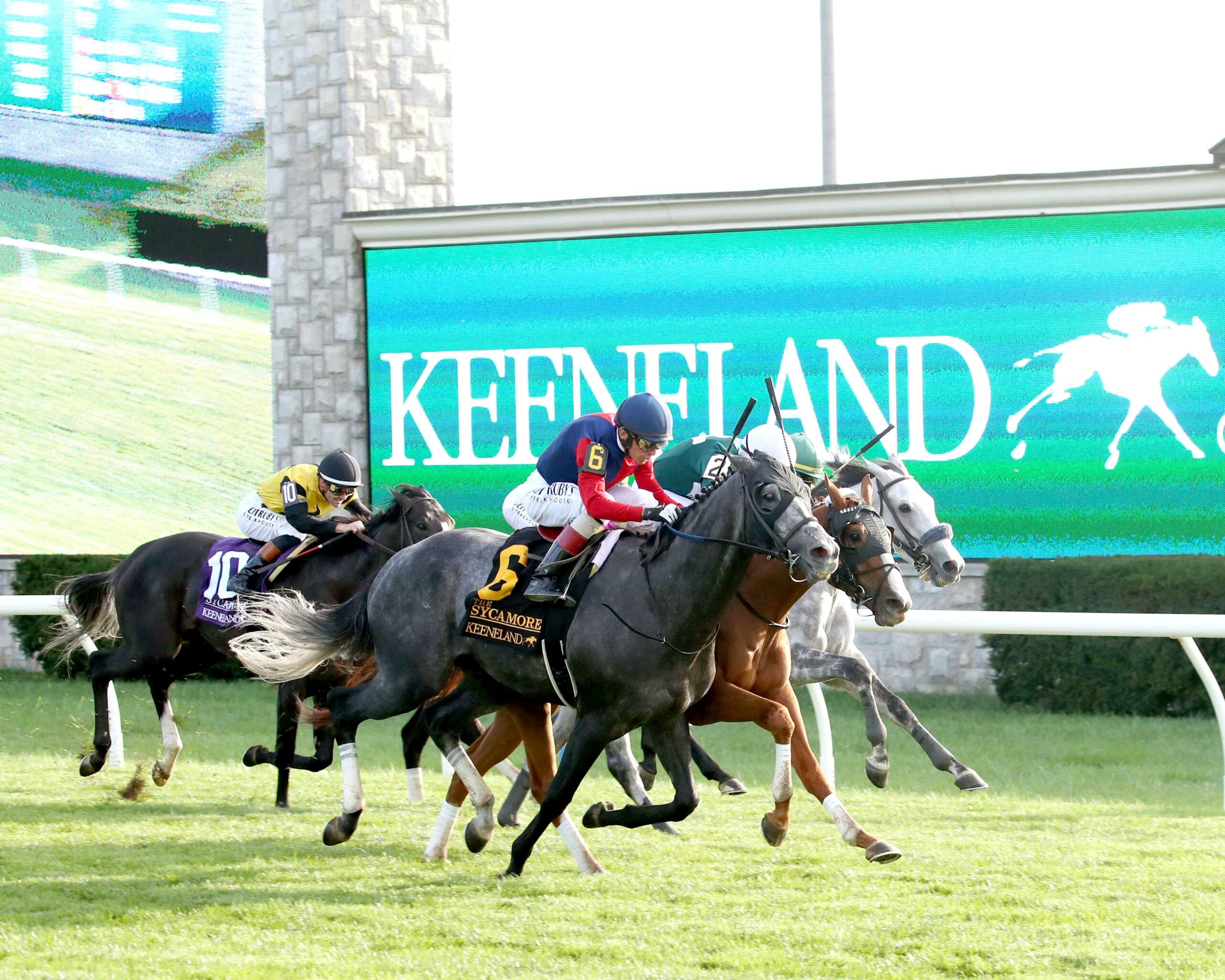 Desvio, horse, Yoshida (JPN), Sycamore Stakes, viernes, 10 de octubre de 2025, Keeneland. Foto: @coadymediaUSA
