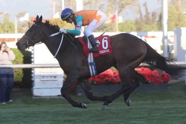 Eccentric, horse, Iván Denisovich, Clásico Nacional Ricardo Lyon, domingo, 5 de octubre de 2025, Club Hípico de Santiago. Foto: Jaime Cortés