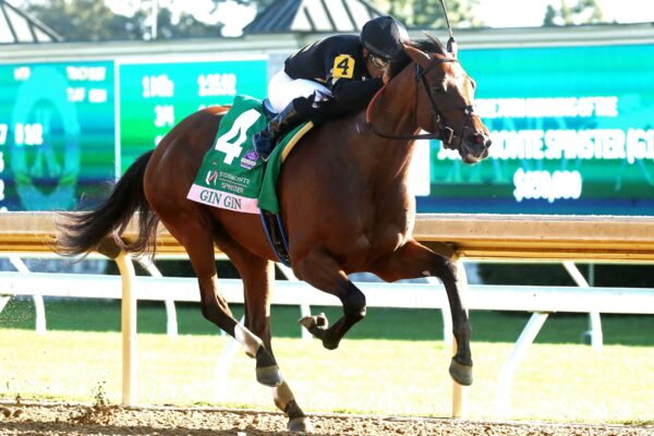 Gin Gin, horse, Calumet Farm, Juddmonte Spinster Stakes, domingo, 4 de octubre de 2024, Keeneland. Foto: @coadymediaUSA