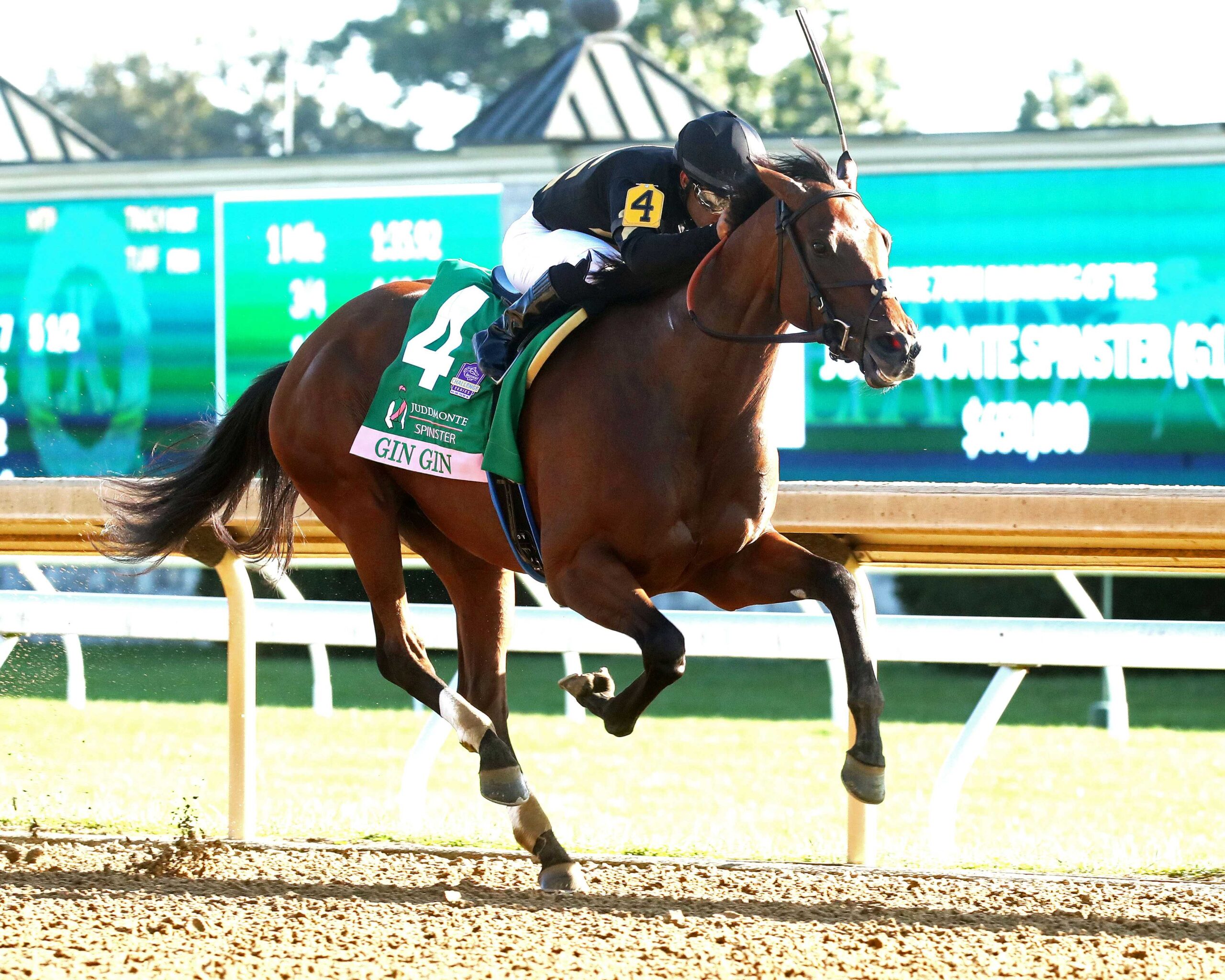 Gin Gin, horse, Calumet Farm, Juddmonte Spinster Stakes, domingo, 4 de octubre de 2024, Keeneland. Foto: @coadymediaUSA