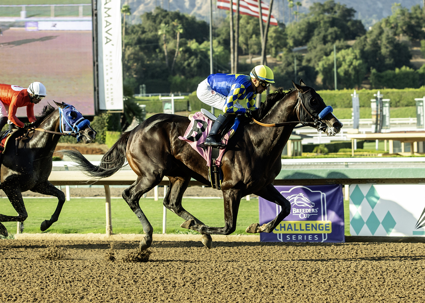 Imagination, Horses, Into Mischief, Santa Anita Sprint Championship Stakes, domingo, 28 de septiembre de 2025, Santa Anita Park. Foto: Benoit Photo