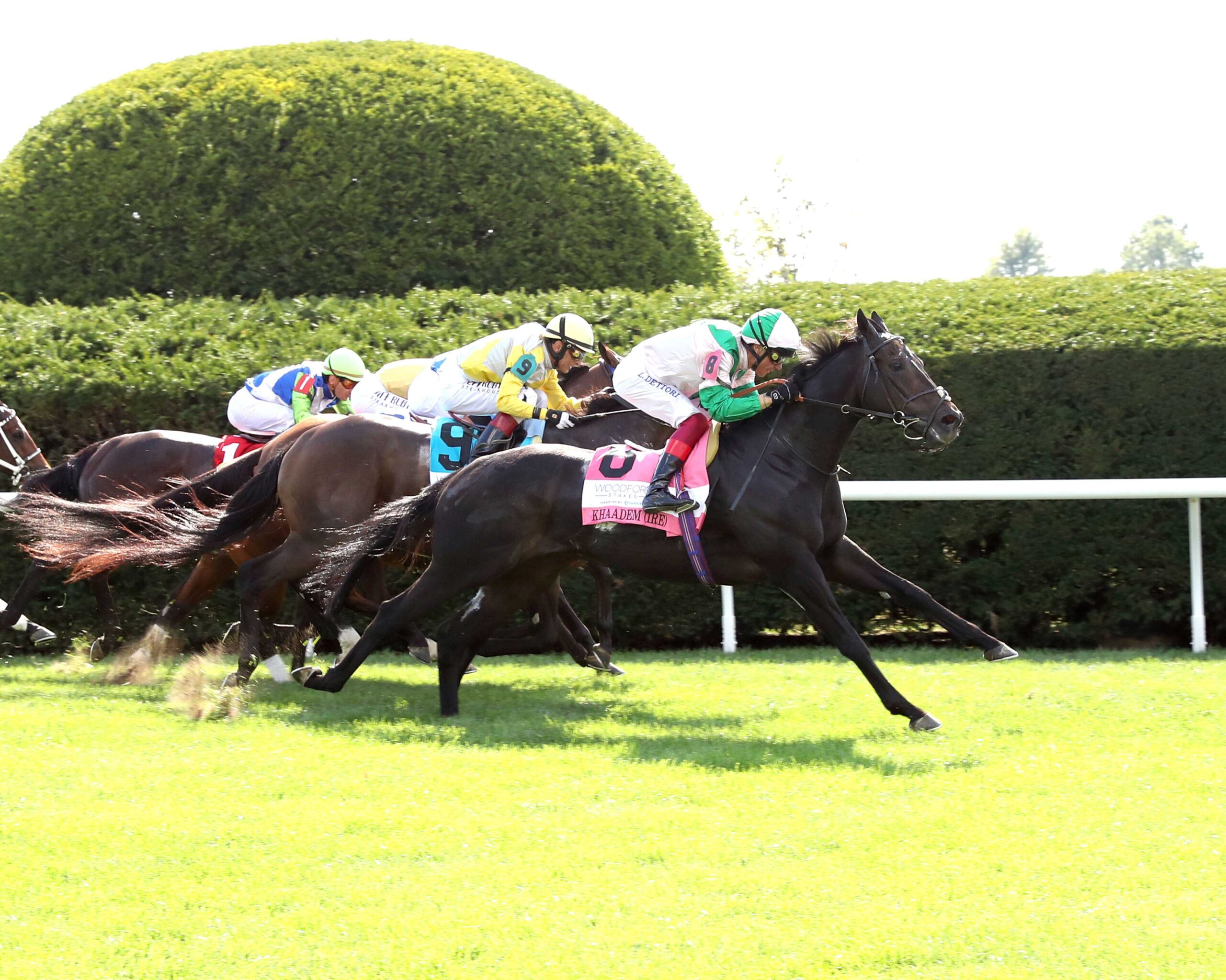 Khaadem, horse, Dark Angel, Fanduel Woodford Stakes, sábado, 5 de octubre de 2024, Keeneland. Foto: @coadymediaUSA