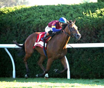 Lush Lips, horses, Medallion Racing, Dixiana Queen Elizabeth II Challenge Cup Stakes, sábado, 11 de octubre de 2025, Keeneland. Foto: @coadymediaUSA