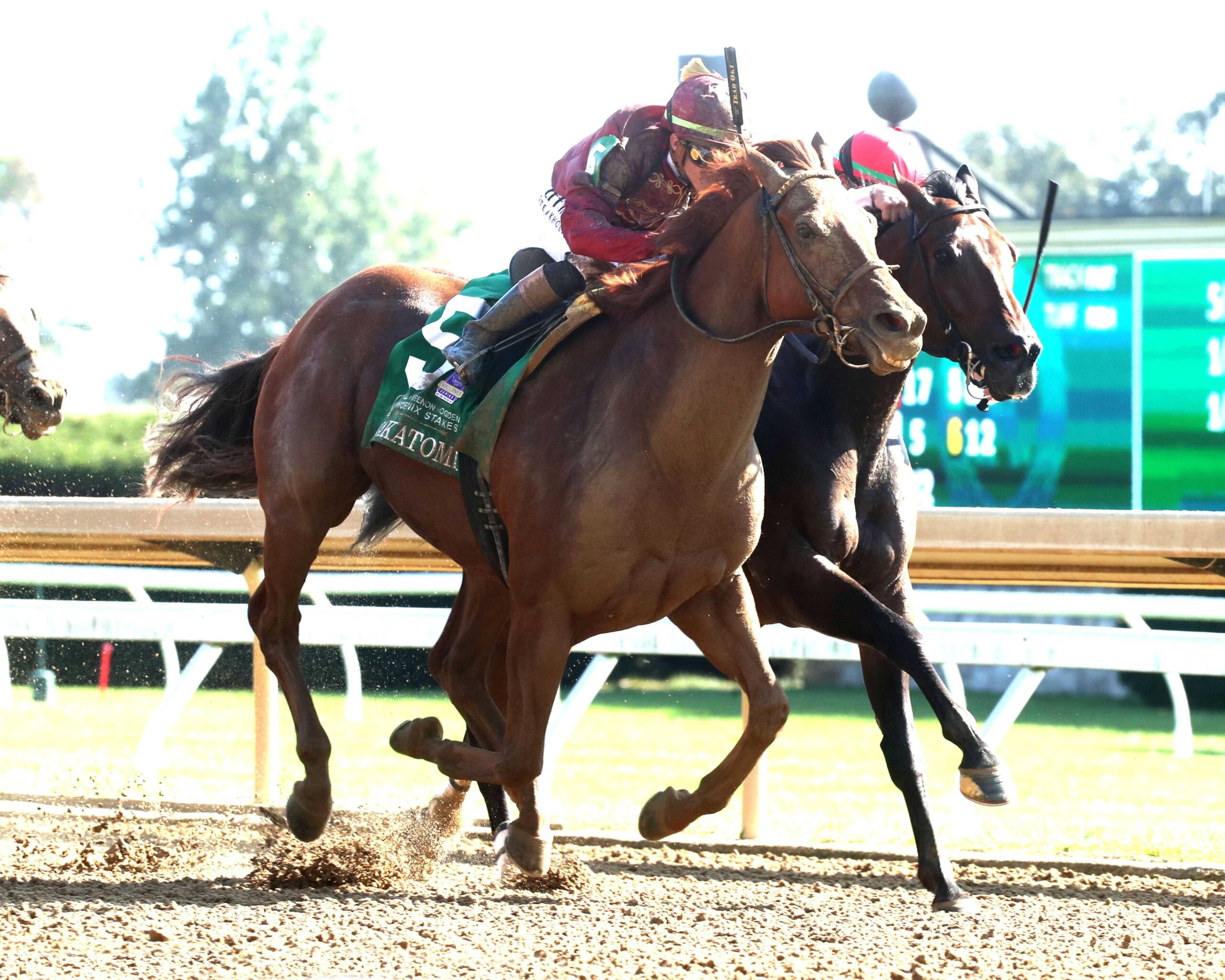 Nakatomi, horse, Qatar Racing, Stoll Keennon Ogden Phoenix Stakes, viernes, 3 de octubre de 2025, Keeneland. Foto: @coadymediaUSA