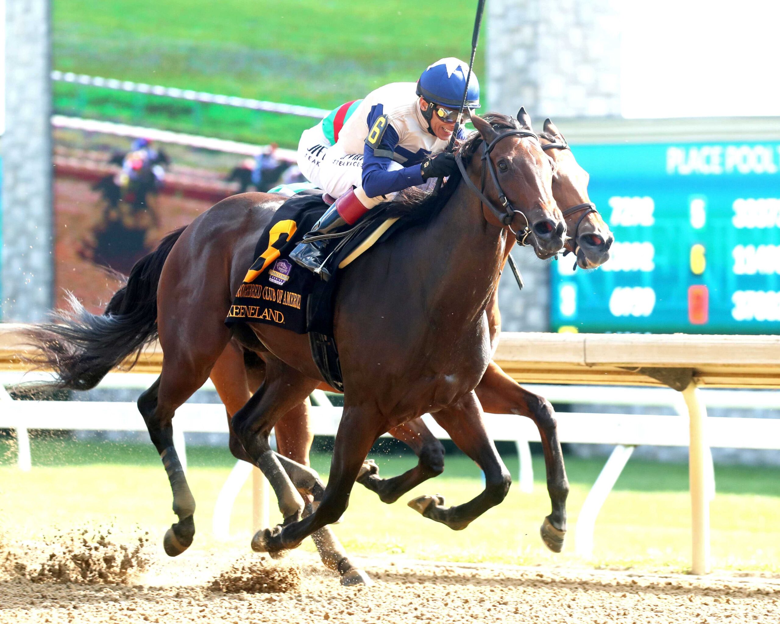 Praying, horse, Vekoma, Thoroughbred Club America, sábado, 5 de octubre de 2024, Keeneland. Foto: @coadymediaUSA