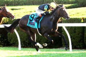 Rhetorical, horse, Not This Time, Coolmore Turf Mile Stakes, sábado, 4 de octubre de 2025, Keeneland. Foto: @coadymediaUSA