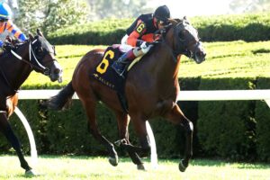 Schwarzenegger, horses, Not This Time, Indian Summer Stakes, domingo, 5 de octubre de 2025, Keeneland. Foto: @coadymediaUSA