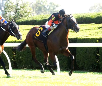 Schwarzenegger, horses, Not This Time, Indian Summer Stakes, domingo, 5 de octubre de 2025, Keeneland. Foto: @coadymediaUSA