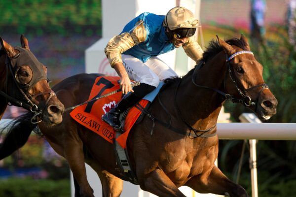 Silawi, horses, Wathnan Racing, Canadian International Stakes, sábado, 4 de octubre de 2025, Woodbine. Michael Burns Photography & Woodbine