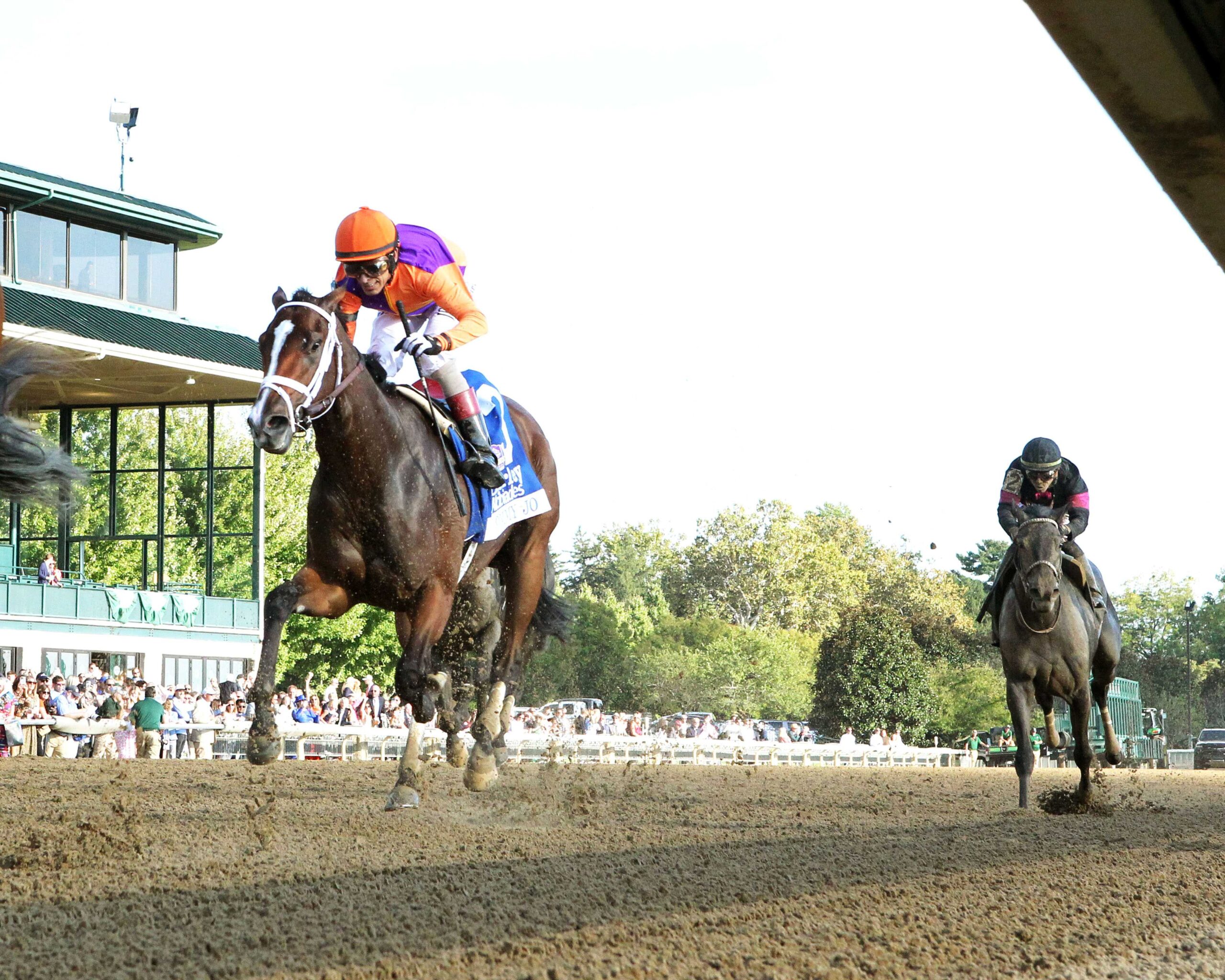 Tommy Jo, horse, Spendthrift Farm, Darley Alcibiades Stakes, viernes, 3 de octubre de 2025, Keeneland. Foto: Coady Media