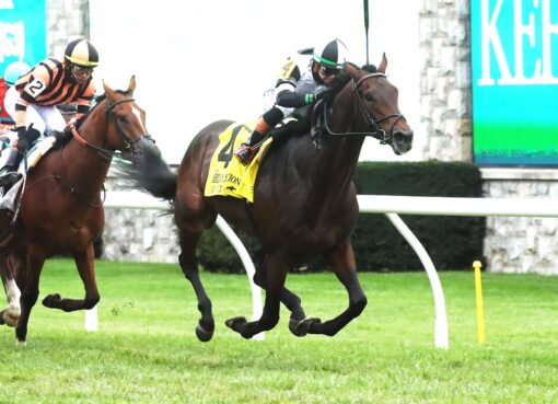 Troubleshooting, horse, Not This Time, Bryan Station Stakes, sábado, 25 de octubre de 2025, Keeneland. Foto: @coadymediaUSA
