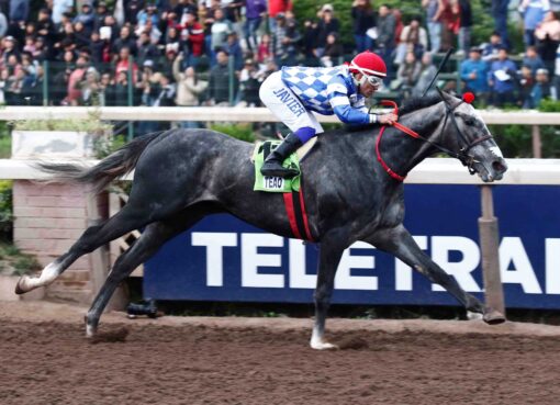 Teao, horses, Ya Primo, Clásico Gran Critérium Mauricio Serrano Palma, sábado, 4 de octubre de 2025, Hipódromo Chile. Foto: Jaime Cortés