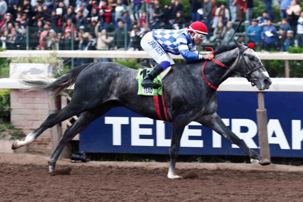 Teao, horses, Ya Primo, Clásico Gran Critérium Mauricio Serrano Palma, sábado, 4 de octubre de 2025, Hipódromo Chile. Foto: Jaime Cortés