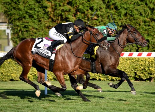 Bottas, horse, Vekoma, Pilgrim Stakes, viernes, 3 de octubre de 2025, Belmont At The Big A. Foto: Coglaniese Photo & Chelsea Durand