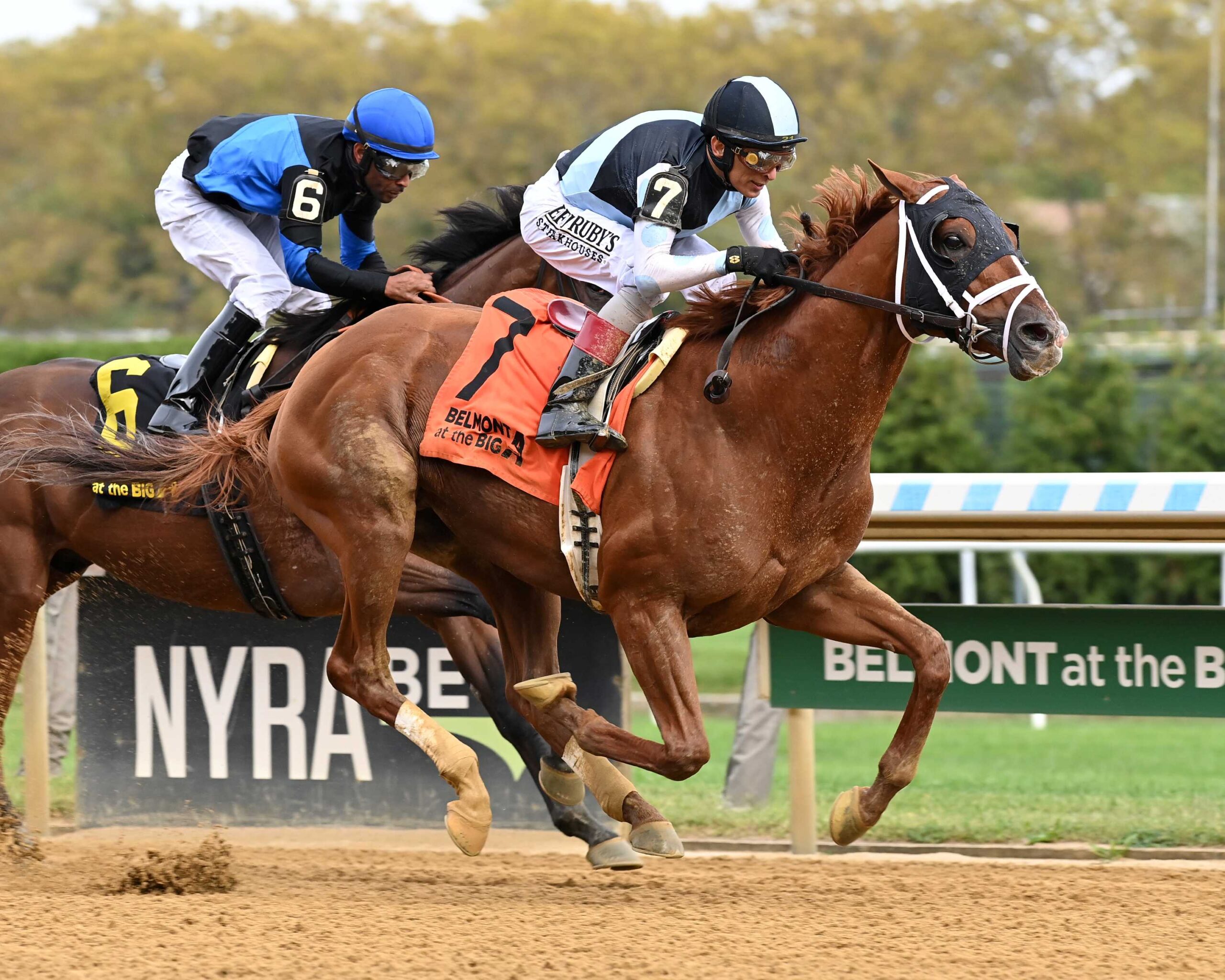 Locked, horse, Gun Runner, Woodward Stakes, sábdado, 27 de septiembre de 2025, Aqueduct. Foto: Coglaniese Photo & Chelsea Durand