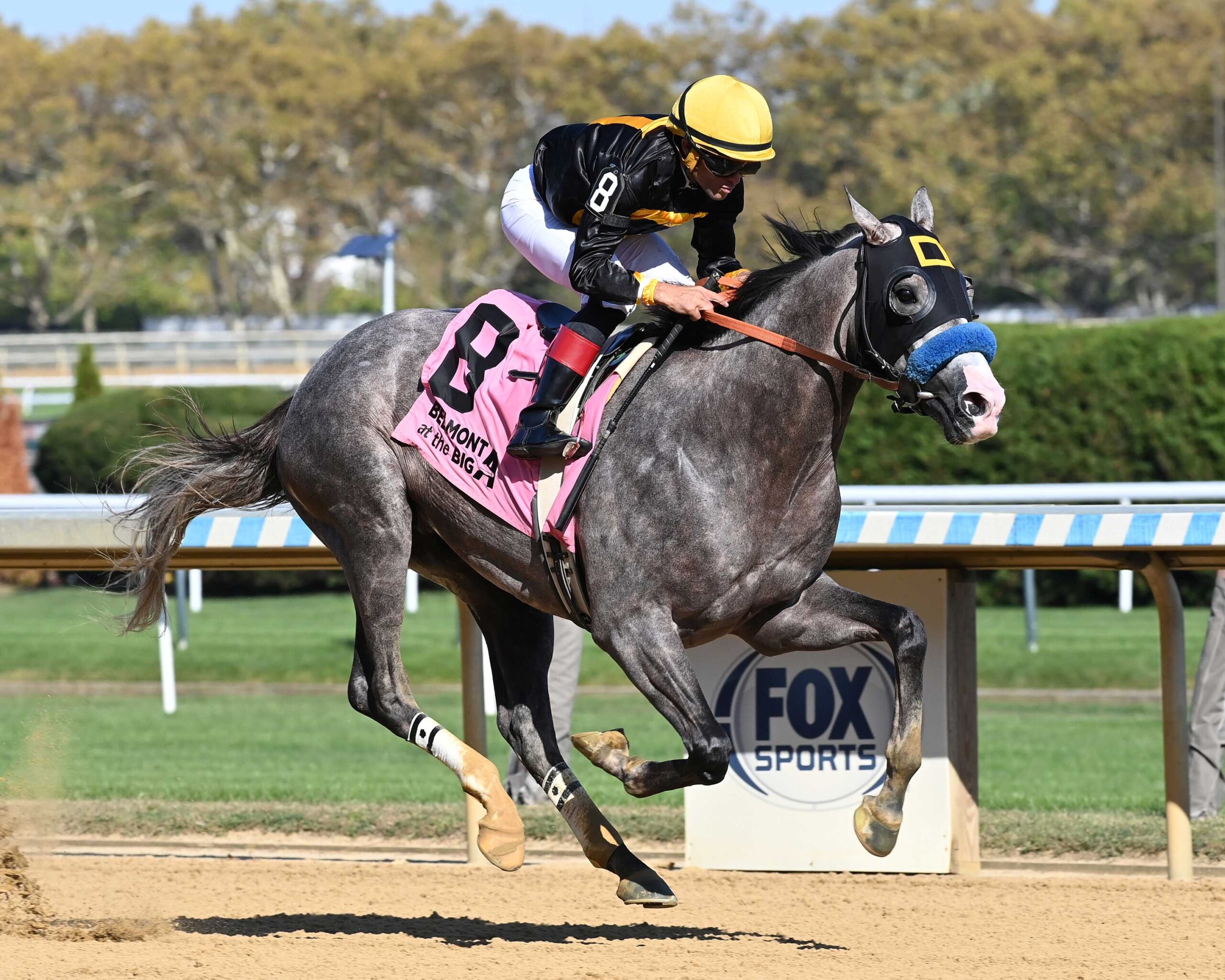 Napoleón Solo, horse, Liam´s Map, Champagne Stakes, sábado, 4 de octubre de 2025, Belmont At The Big A. Foto: Coglaniese Photo