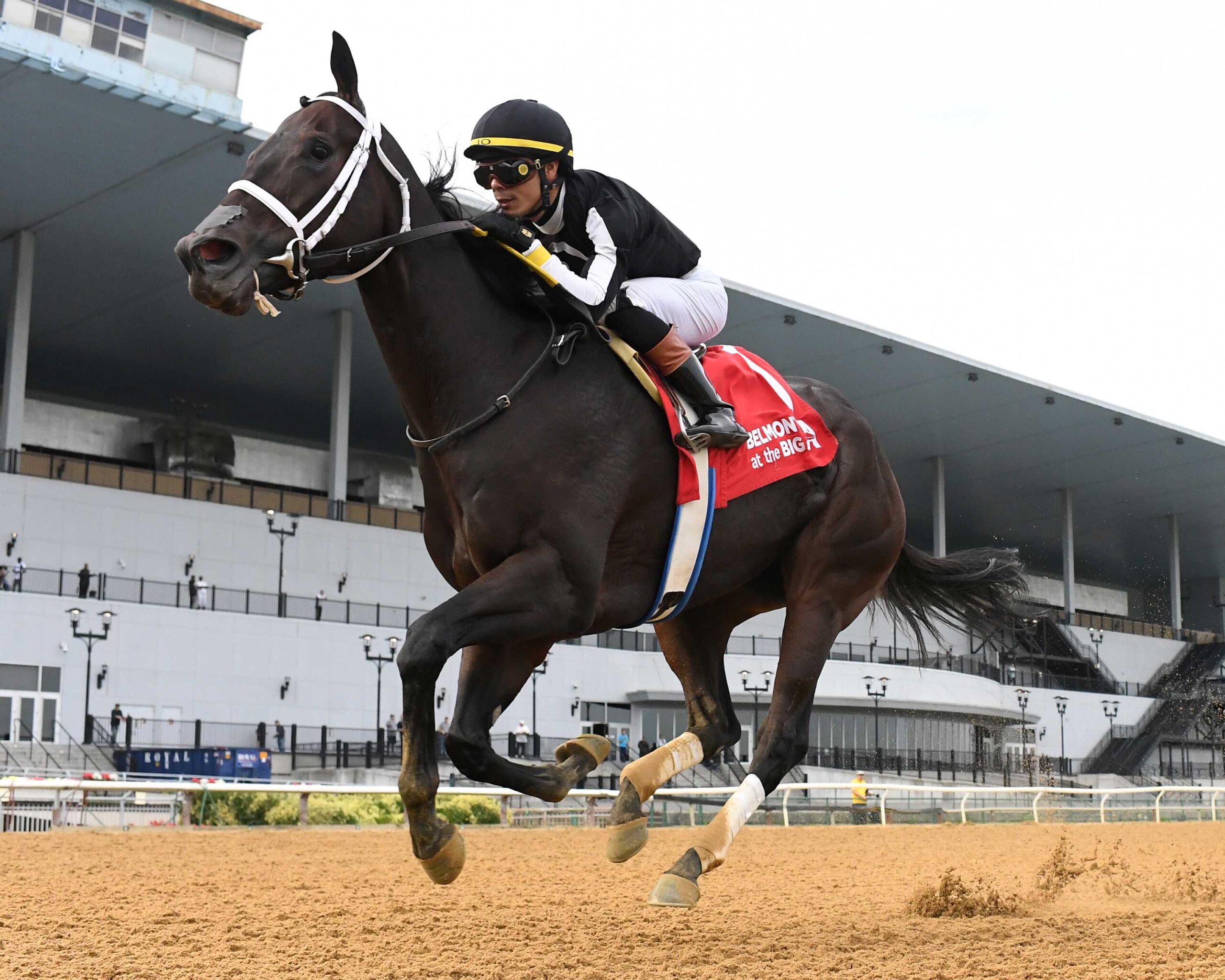 R Disaster, horses, Awesome Slew, sábado, 27 de septiembre de 2025, Belmont At The Big A. Foto: Coglaniese Photo