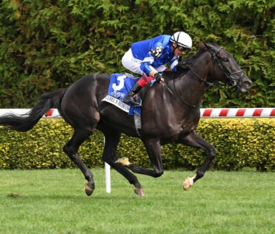 Rebel´s Romance, horse, Godolphin, Joe Hirsch Turf Classic Stakes, sábado, 27 de septiembre de 2025, Belmont At The Big A. Foto: Coglaniese Photo