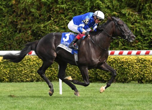Rebel´s Romance, horse, Godolphin, Joe Hirsch Turf Classic Stakes, sábado, 27 de septiembre de 2025, Belmont At The Big A. Foto: Coglaniese Photo