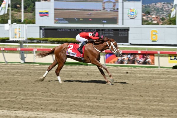 Búnker, horse, Haras Urama, Clásico Antonio José De Sucre, domingo, 16 de noviembre de 2025, La Rinconada. Foto: José Antonio Aray