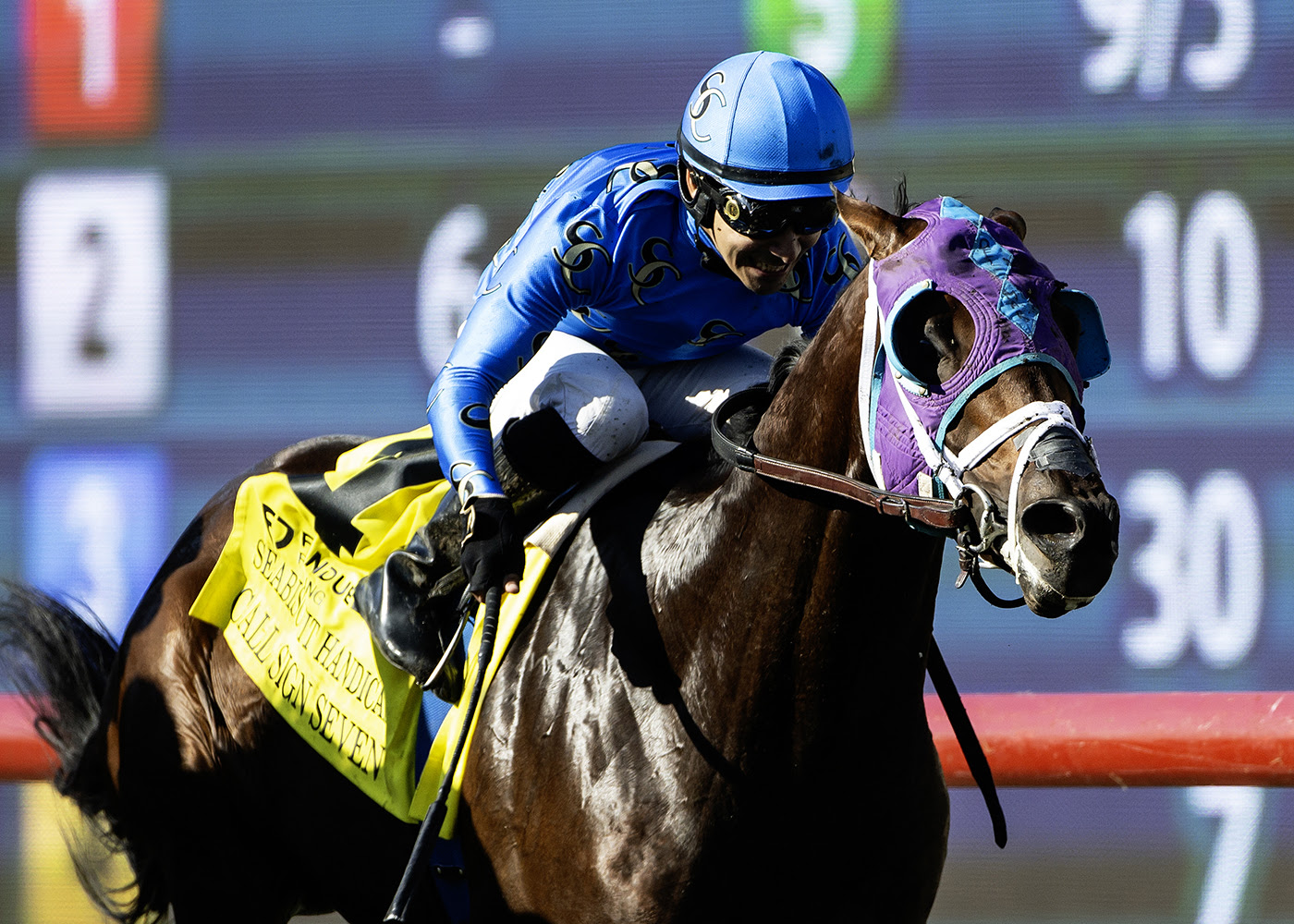Call Sing Seven, Horses, Speightstown, Seabiscuit Hándicap, sábado, 29 de noviembre de 2025, Del Mar. Foto: Benoit Photo