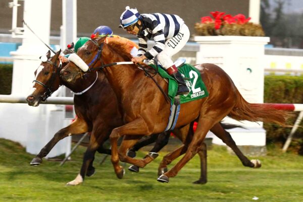 Created, horse, Mendelssohn, Clásico El Ensayo MEGA, viernes, 31 de octubre de 2025, Club Hípico de Santiago. Foto: Jaime Cortés