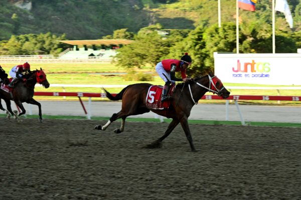 Ekati King, horse, Girvin, Clásico Virgilio Decán, domingo, 12 de octubre de 2025, La Rinconada. Foto: José Antonio Aray