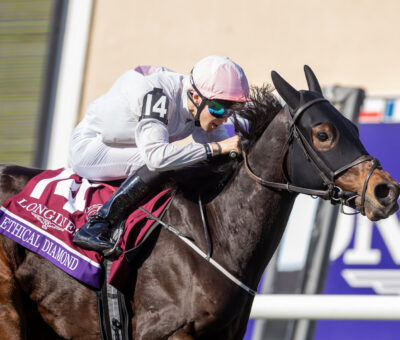 Ethical Diamond, horse, Awtaad, Breeders Cup Turf, sábado, 1 de noviembre de 2025, Del Mar. Foto: Benoit Photo / @benoitphoto_