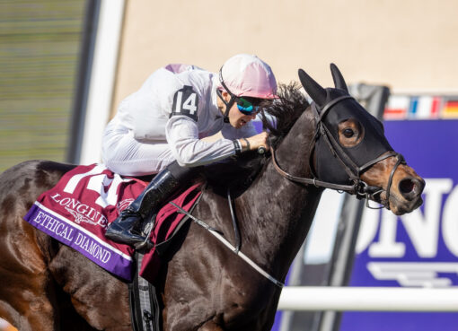 Ethical Diamond, horse, Awtaad, Breeders Cup Turf, sábado, 1 de noviembre de 2025, Del Mar. Foto: Benoit Photo / @benoitphoto_