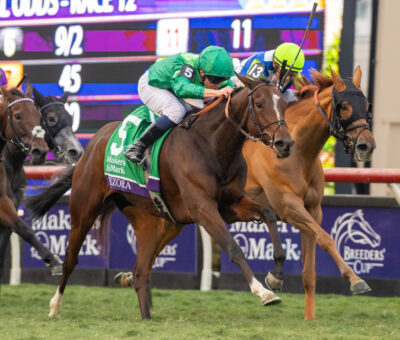 Gezora, horse, Almanzor, Breeders Cup Filly and Mare Turf, sábado, 1 de noviembre de 2025, Del Mar. Foto: Benoit Photo / @benoitphoto_
