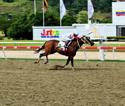 Mi Querida Emma, horse, Yesby Jimminy, Clásico Ezequiel Zamora, domingo,12 de octubre de 2025, La Rinconada. Foto: José Antonio Aray